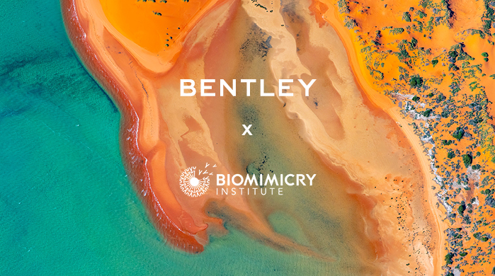 Image 3 Bentley Environmental Foundation Bentley Motors تعلن عن إطلاق مؤسَّستها المعنية بالبيئة